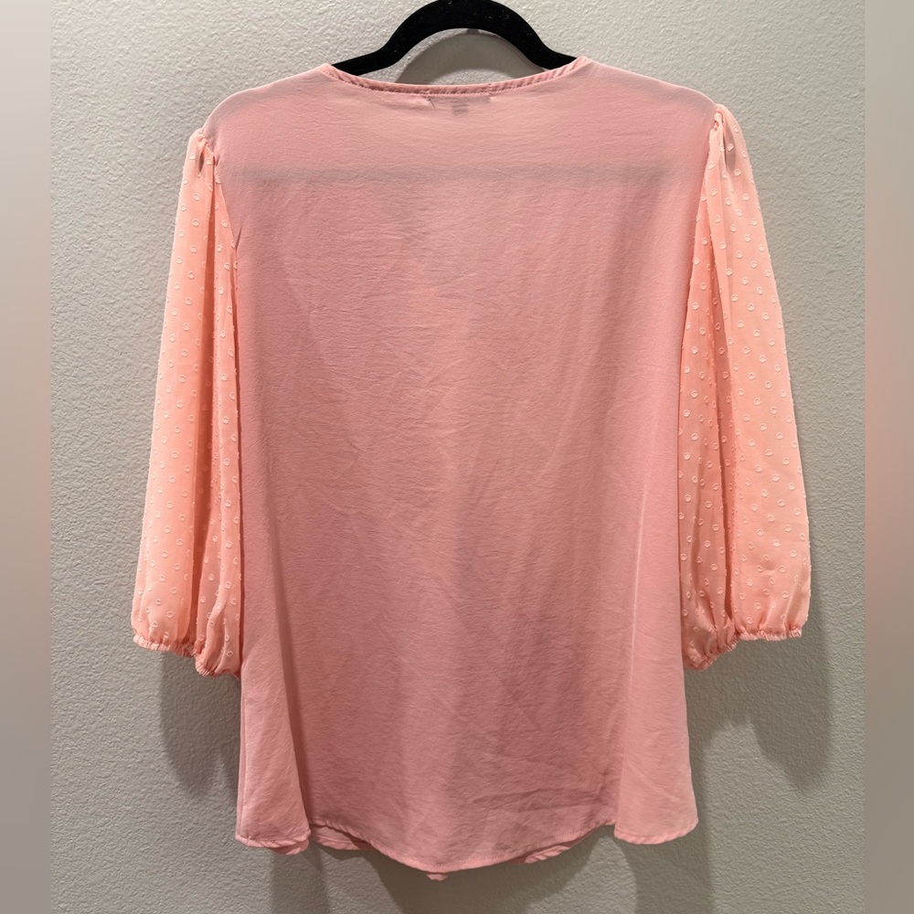 πΈ Lienridy Blush Pink V-Neck Blouse w/ Embroidered Sleeves β Size L - Picture 3 of 3